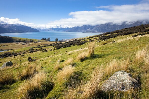 Monte Queenstown in Nuova Zelanda