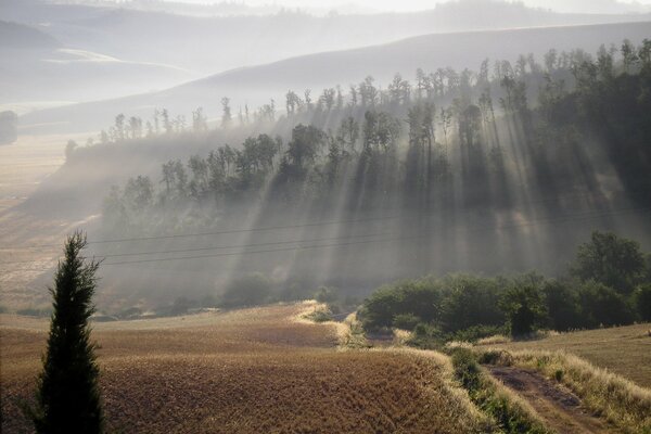 Beautiful foggy morning on the hill