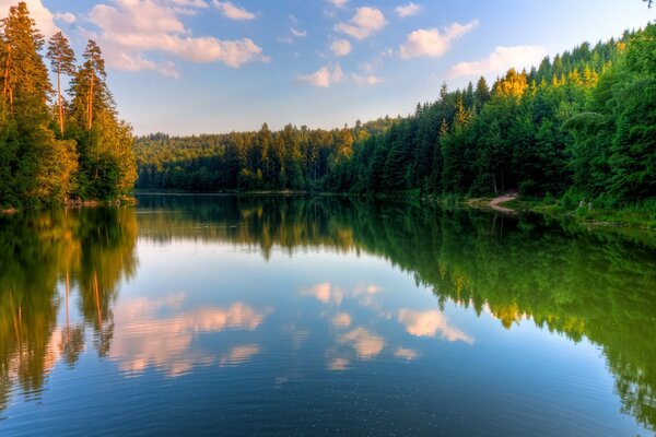 Beau lac avec le reflet des arbres