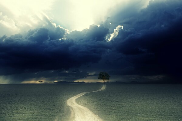 Blue clouds over the path in the field