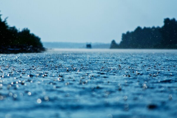 The melody of the rain. Raindrops