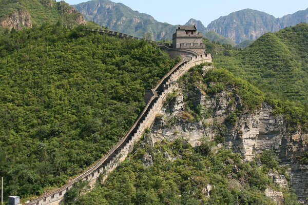 Mur de Chine entouré d arbres et de verdure