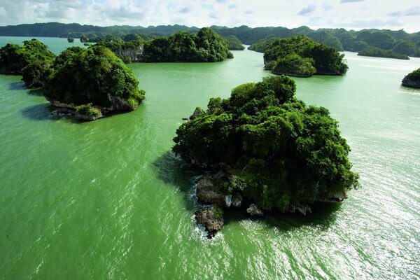 Islands and water everywhere greenery and land