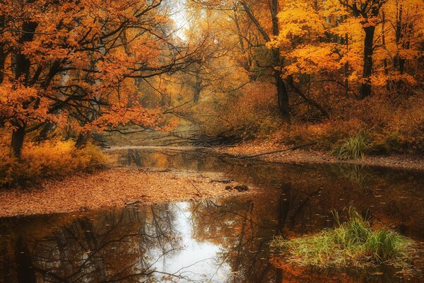 Parque carmesí en el sol de otoño