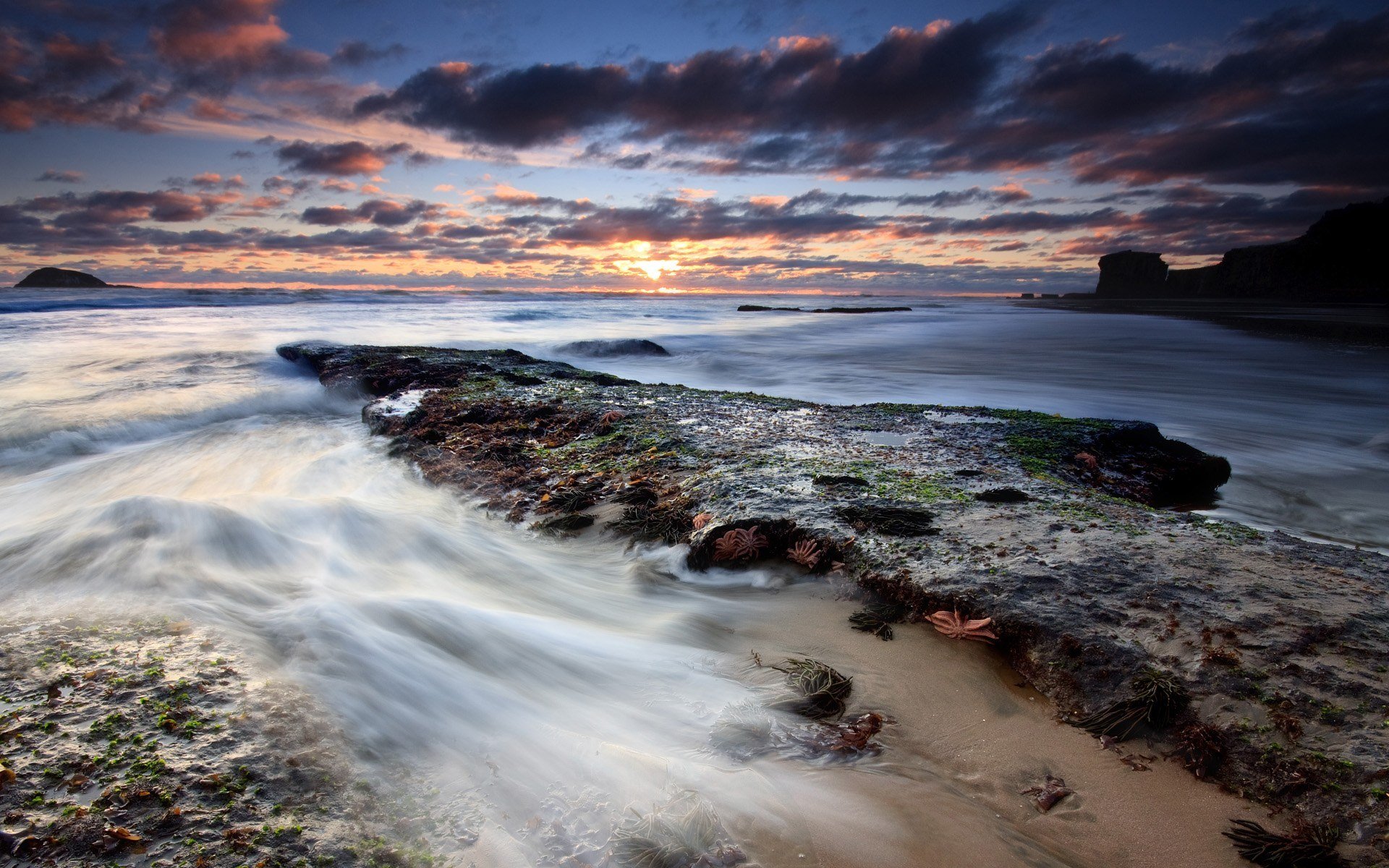 unset at maori bay auckland new zealand sunset sea night beautiful wallpaper