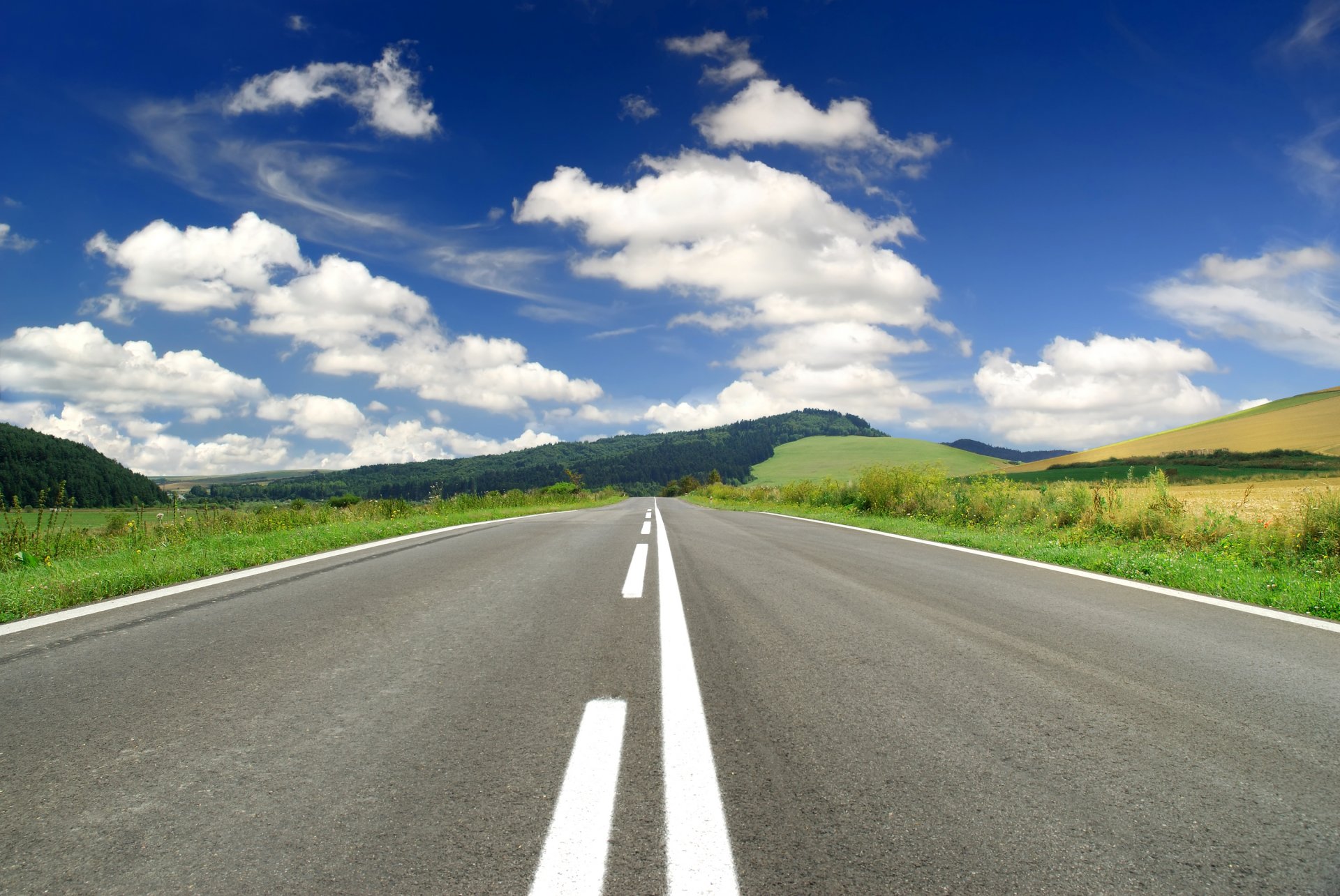 straße landschaft bäume weg straßenmarkierung ansicht autobahnen