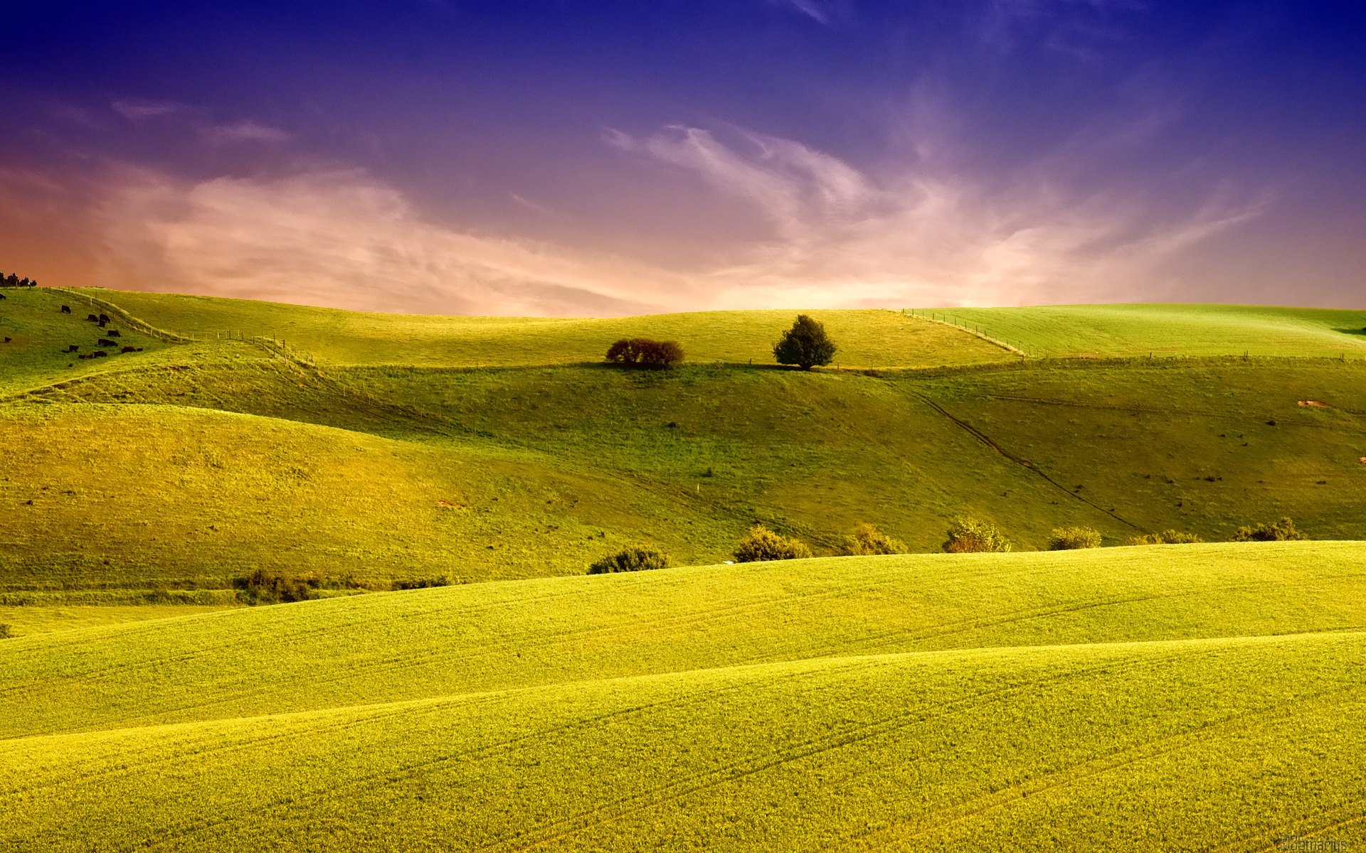 campi campo paesaggio erba colline cielo natura