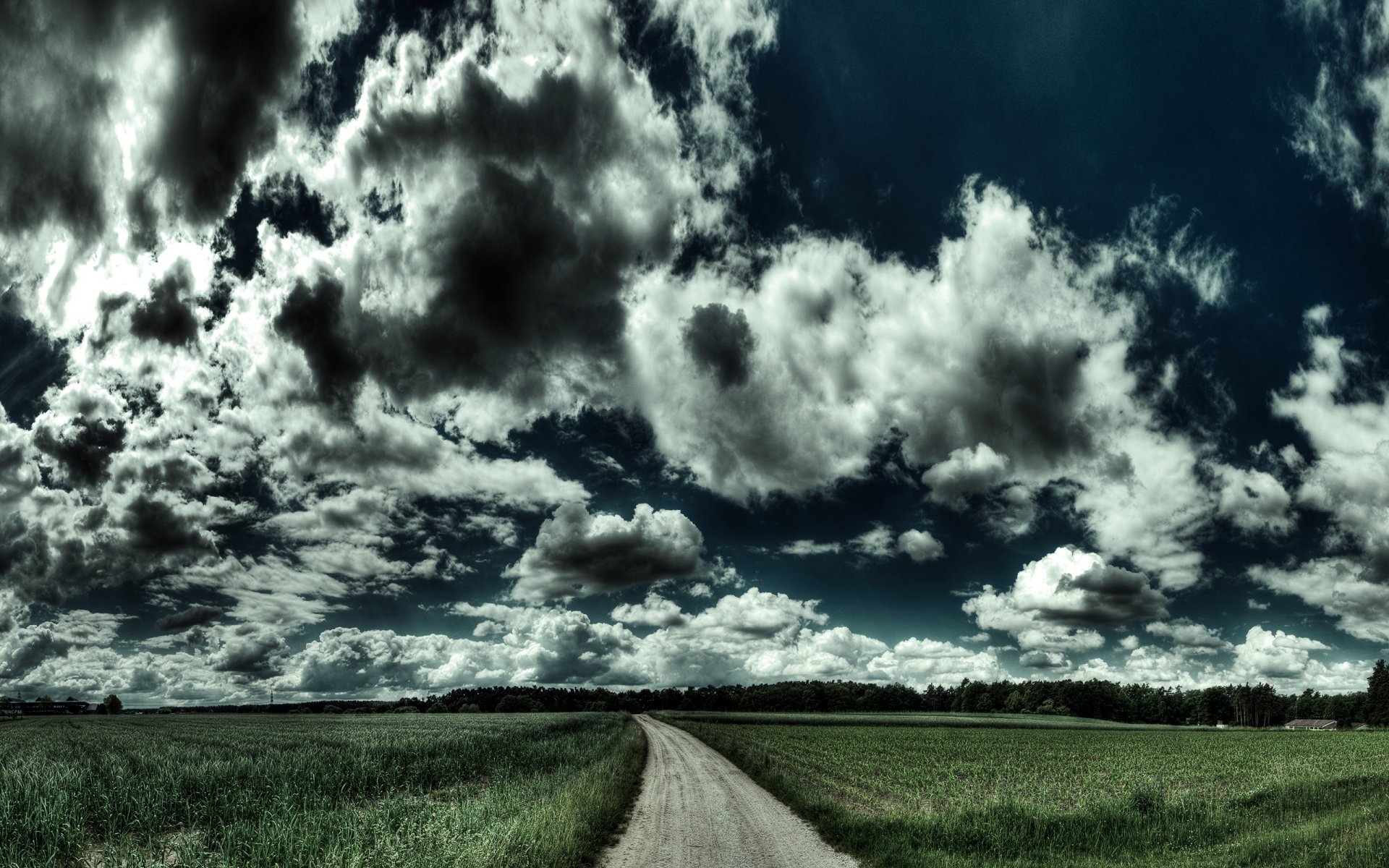 natur landschaft feld straße