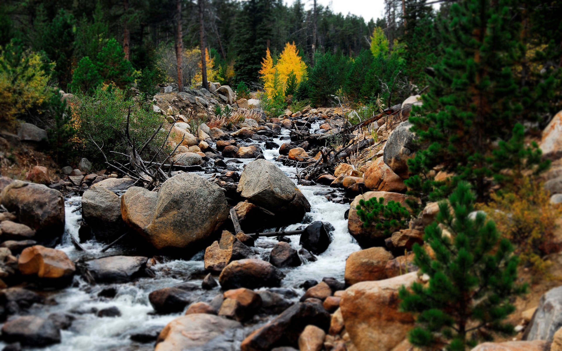 mountain creek stones sky tree water feed nature landscape