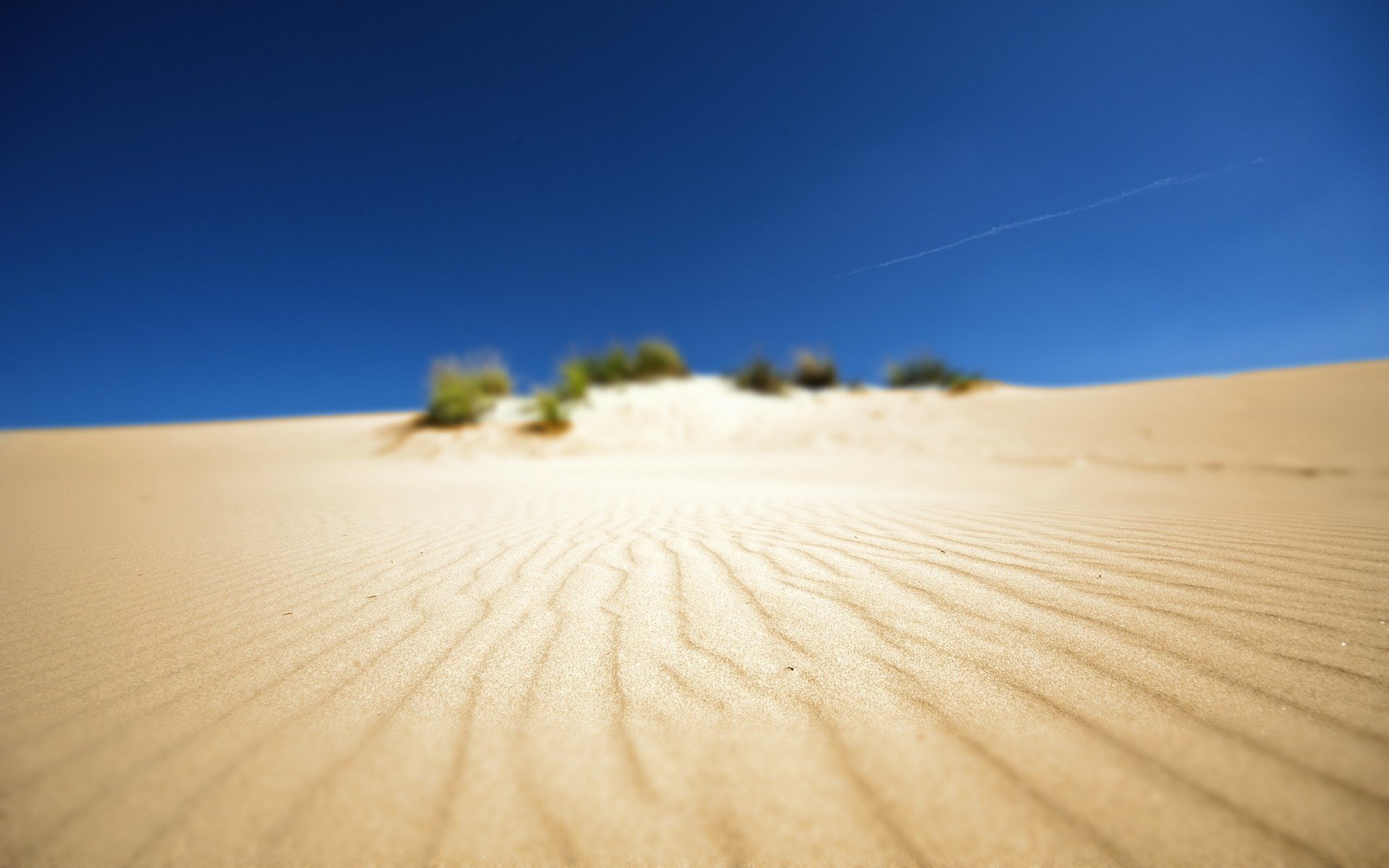 désert plage sable paysage afrique photo