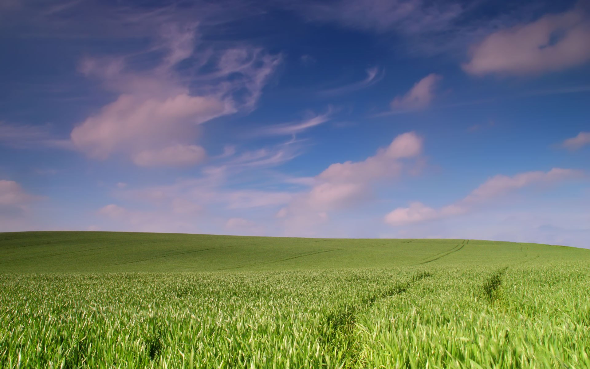 campo paisaje