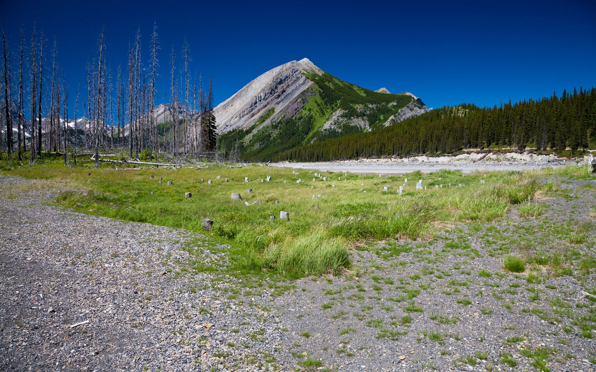 landschaft berge gras natur himmel