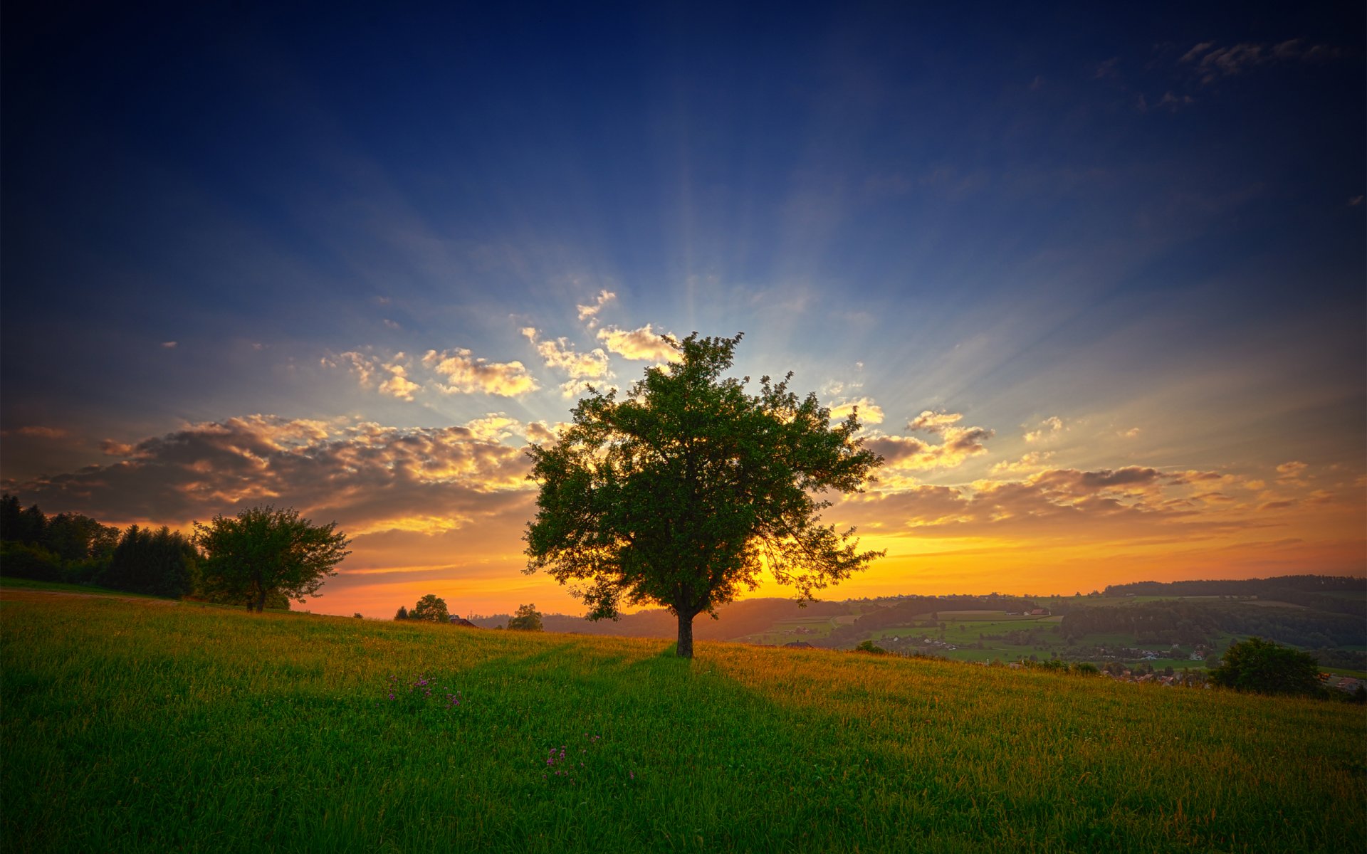 paisaje cielo amanecer sol rayos nubes mañana frescura árbol pendiente hierba vegetación verano flores naturaleza vista view pendiente colinas mañana verano fresco lightray