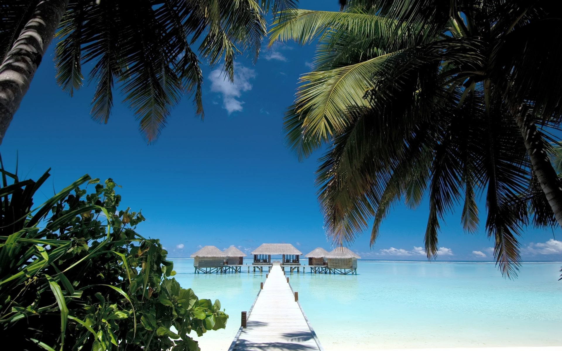 paesaggio vista natura maldive ponte palme estate spiaggia sabbia riva acqua mare oceano casa cielo view estate cielo sabbie costa ponti maldive