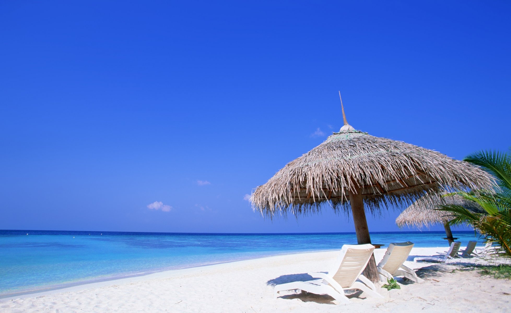 landschaft sommer sonnenliegen strand liegestühle sand ufer wasser ozean meer himmel hitze erholung palmen sommermeer