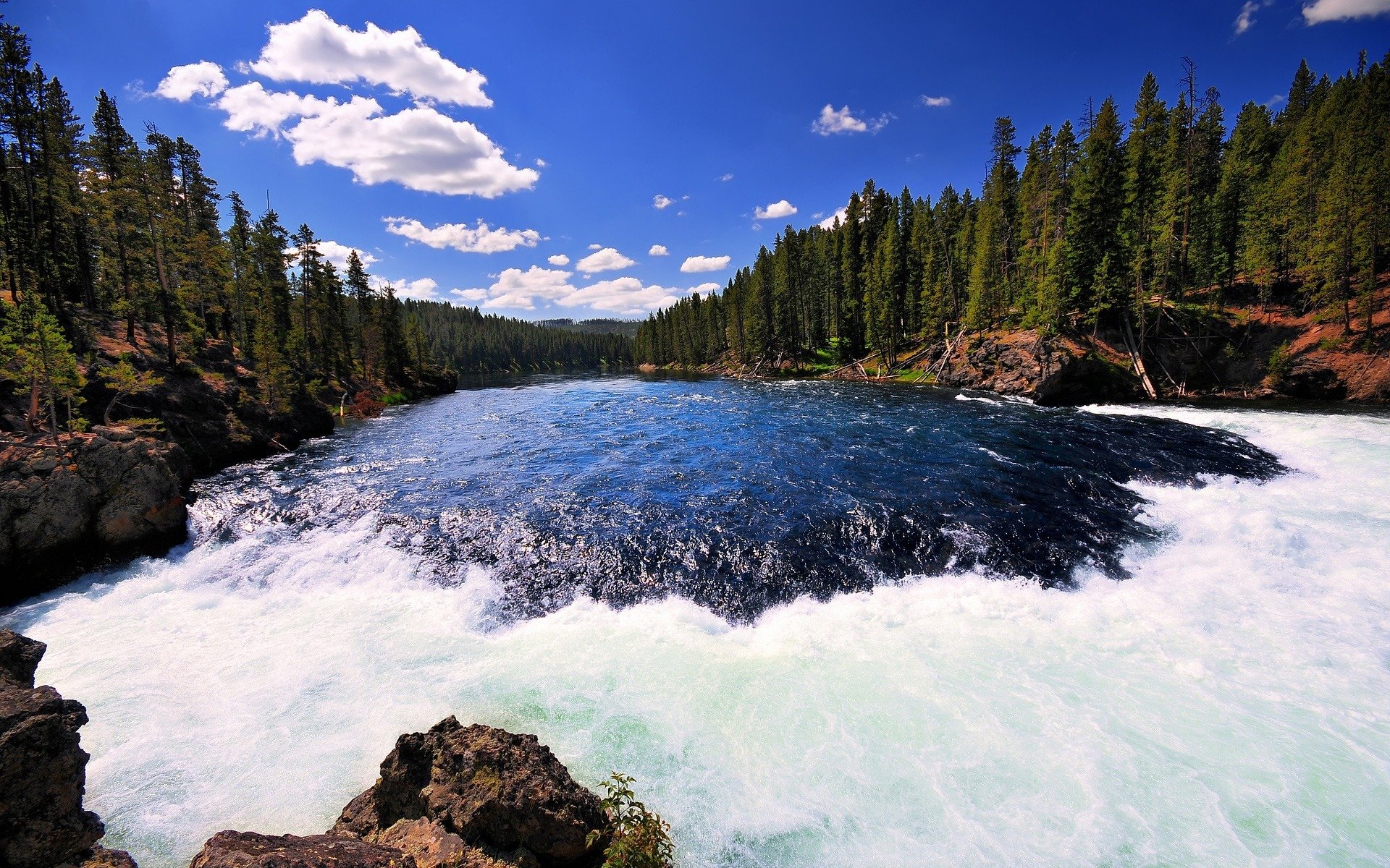 rzeka yellowstone park narodowy yellowstone bystrza