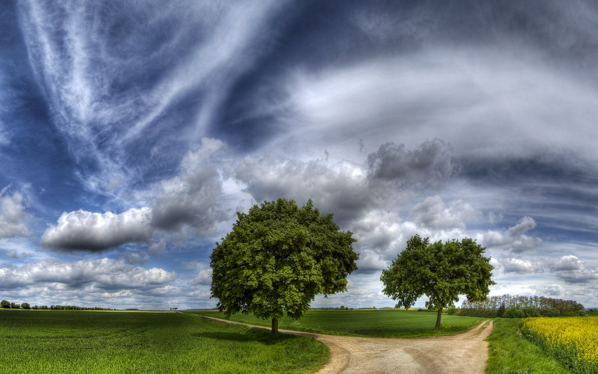 camino bifurcación hierba árboles camino selección cielo hermoso campo heno