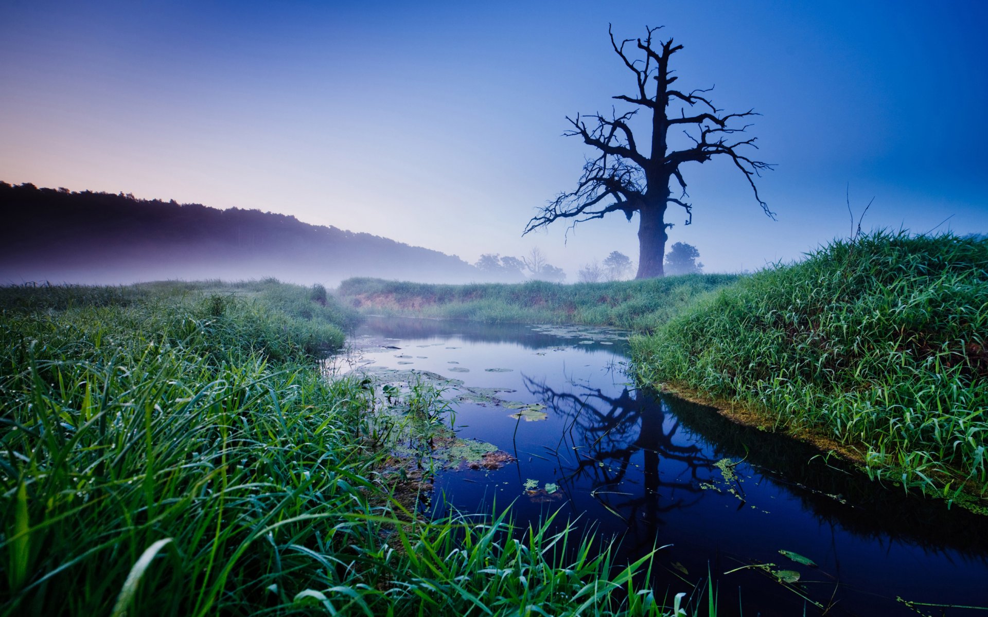 old oak poland