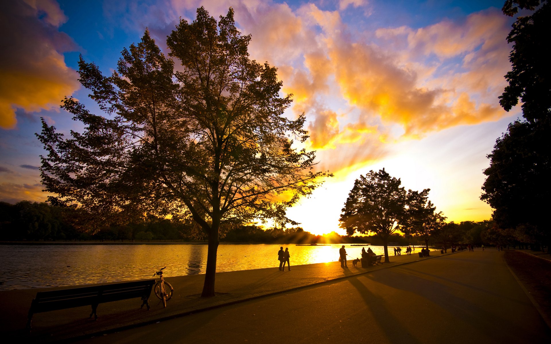 people park walk bike river summer night tree sun sky nice weather