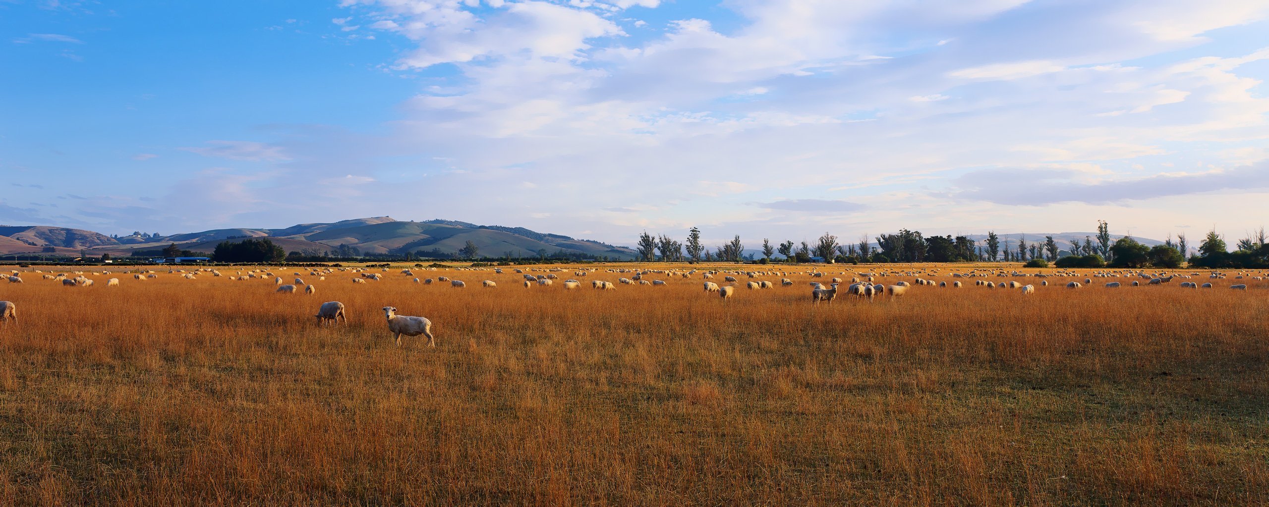 campo cielo nuvole