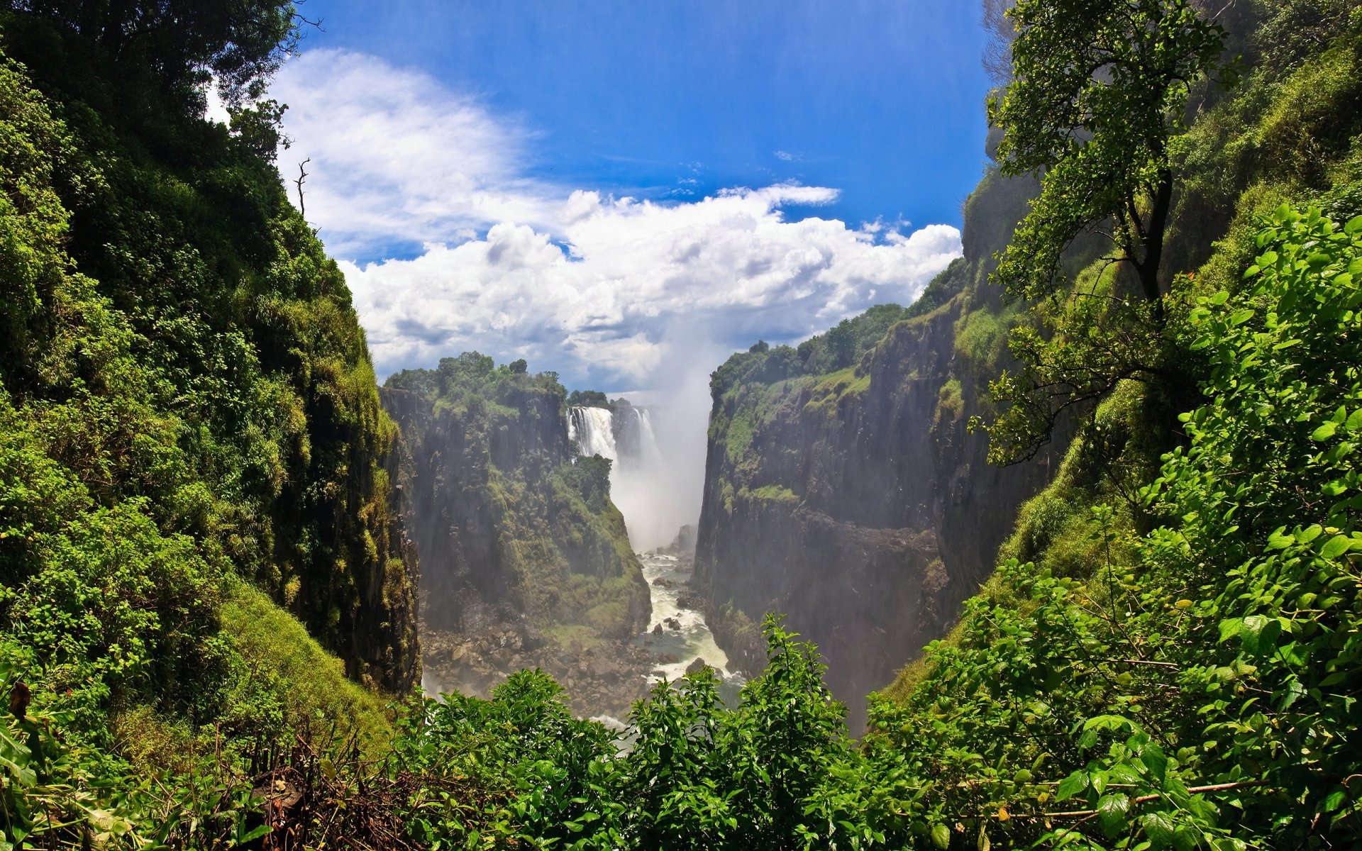 vegetación árboles hierba hojas río montañas nubes