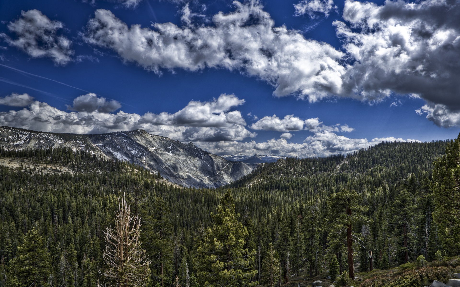 montañas bosques árboles de la naturaleza bosque cielo nubes