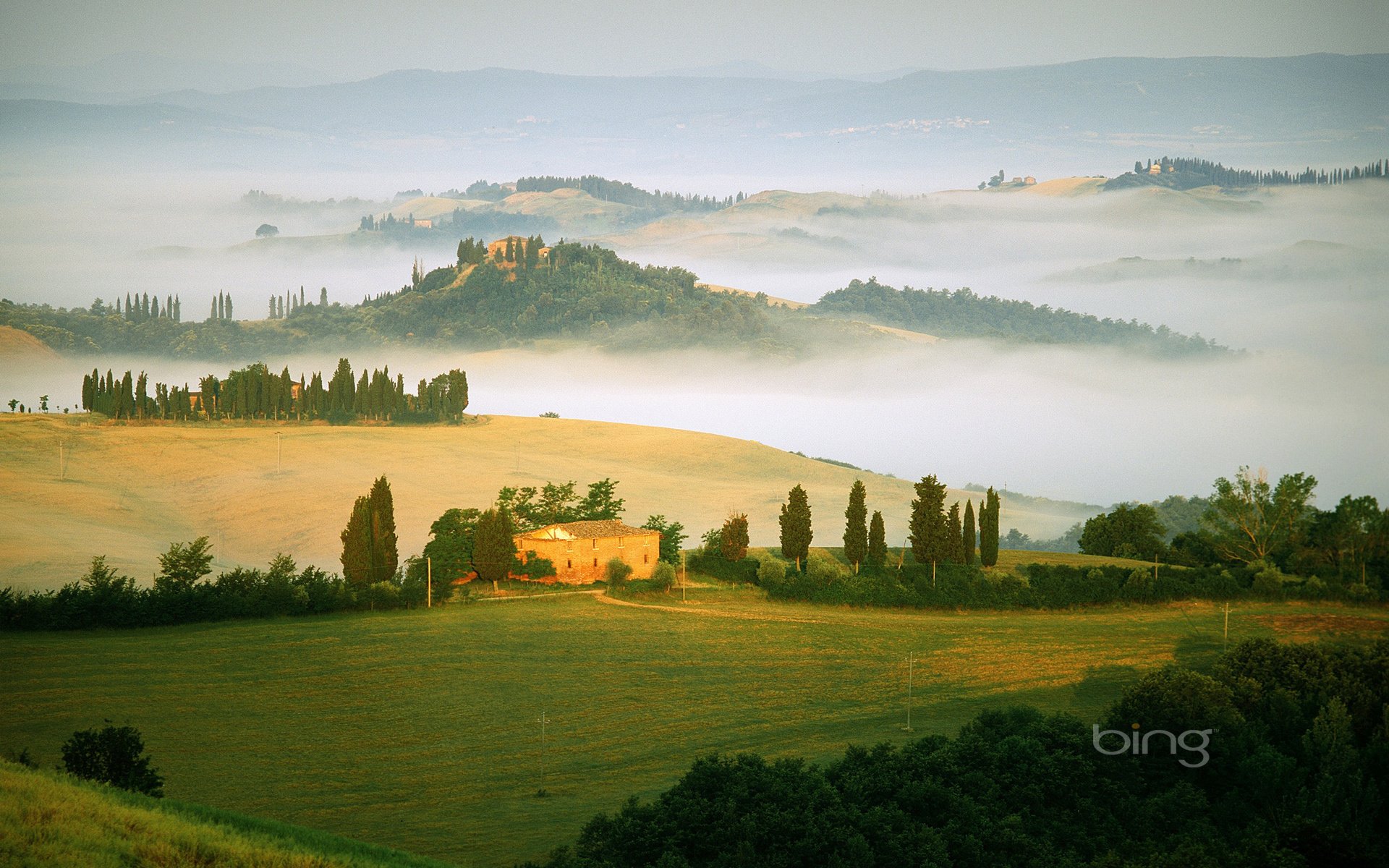 felder italien nebel