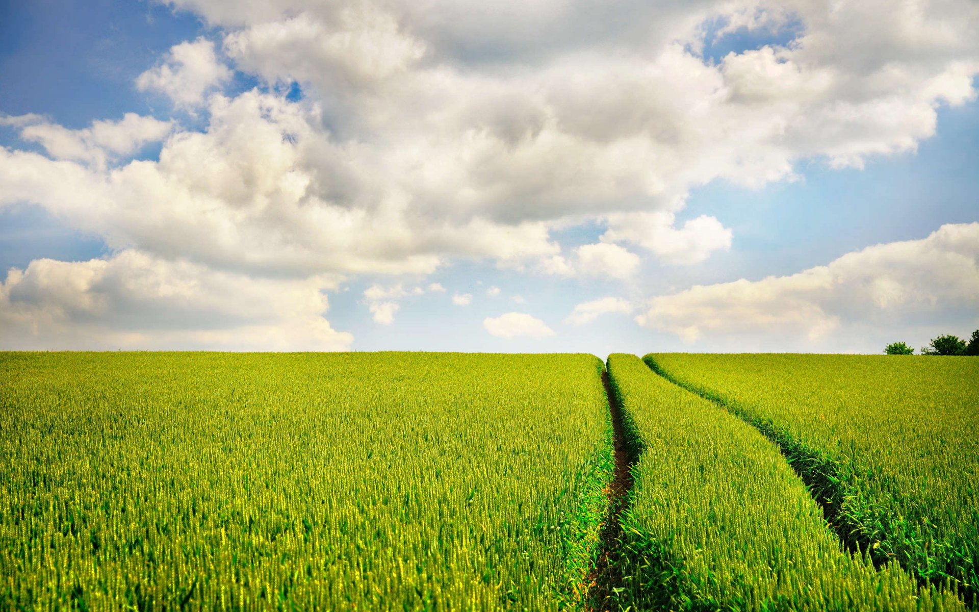 champ route ciel traces nature photo avec de l herbe champs d herbe paysages