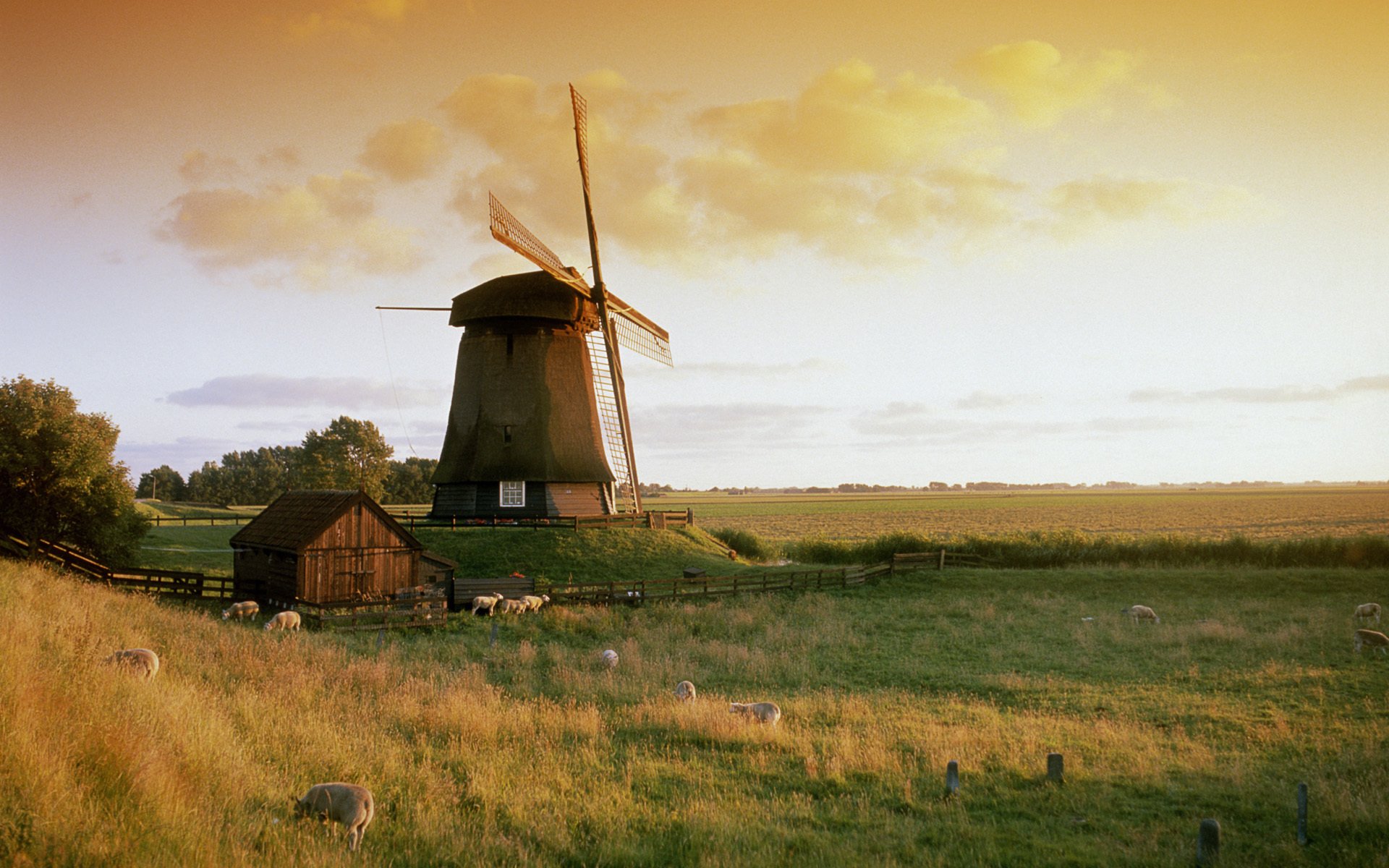 nature moulin ciel herbe