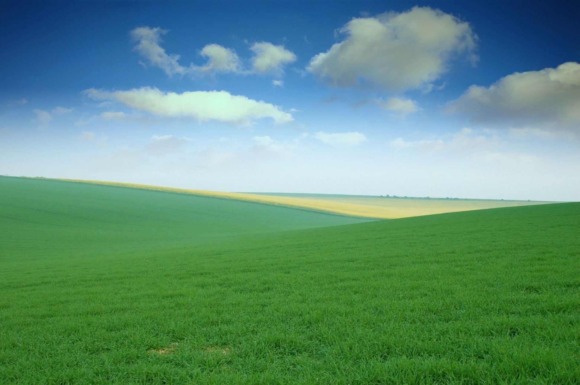 campi cielo erba prati spazi aperti