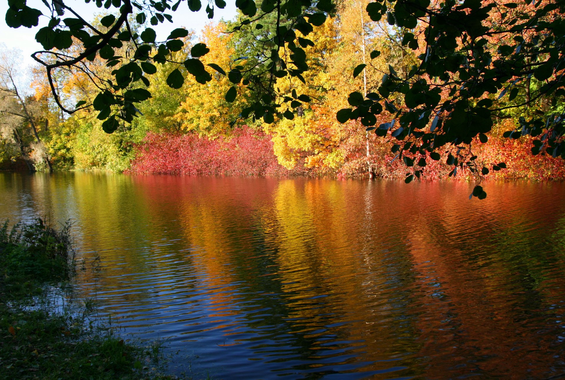 natura autunno fiume