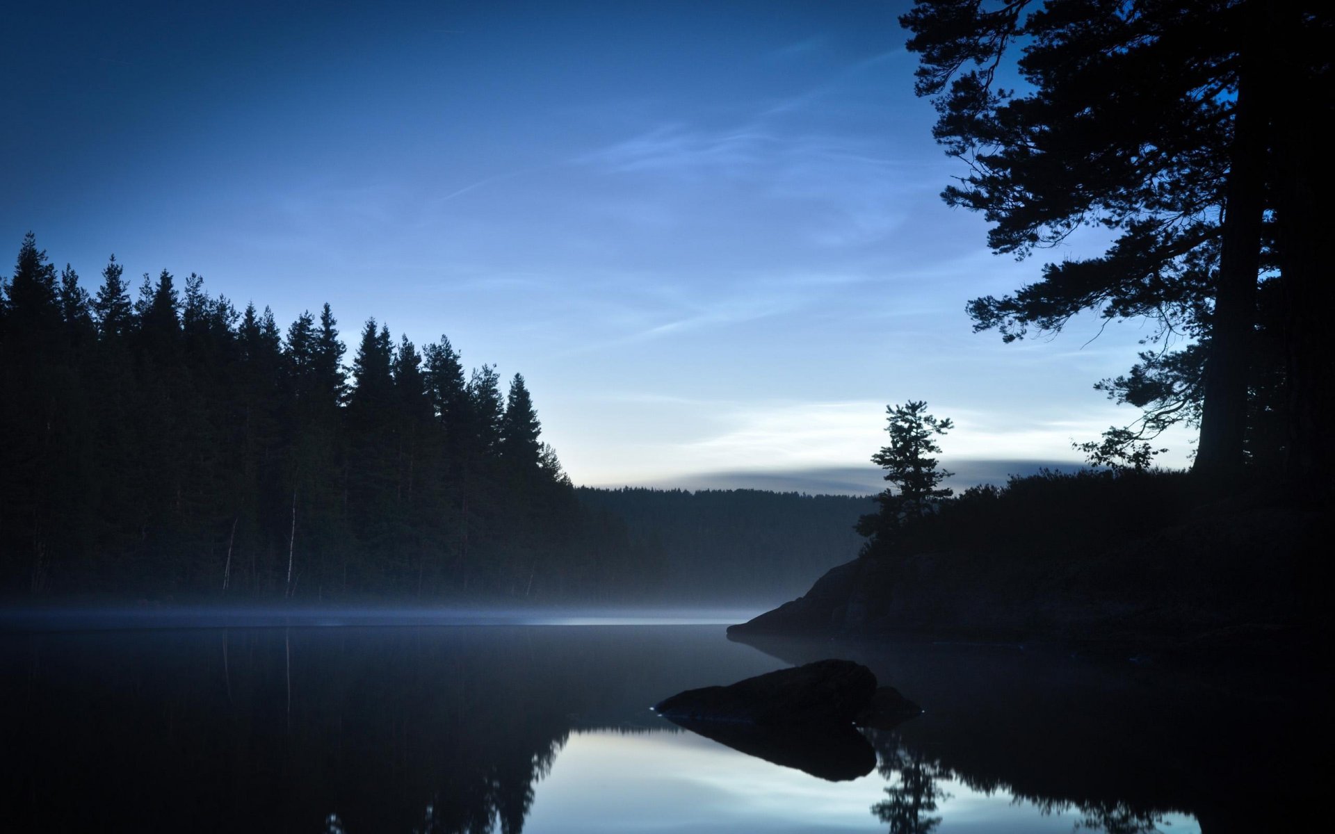 lac arbres forêt jour ou nuit