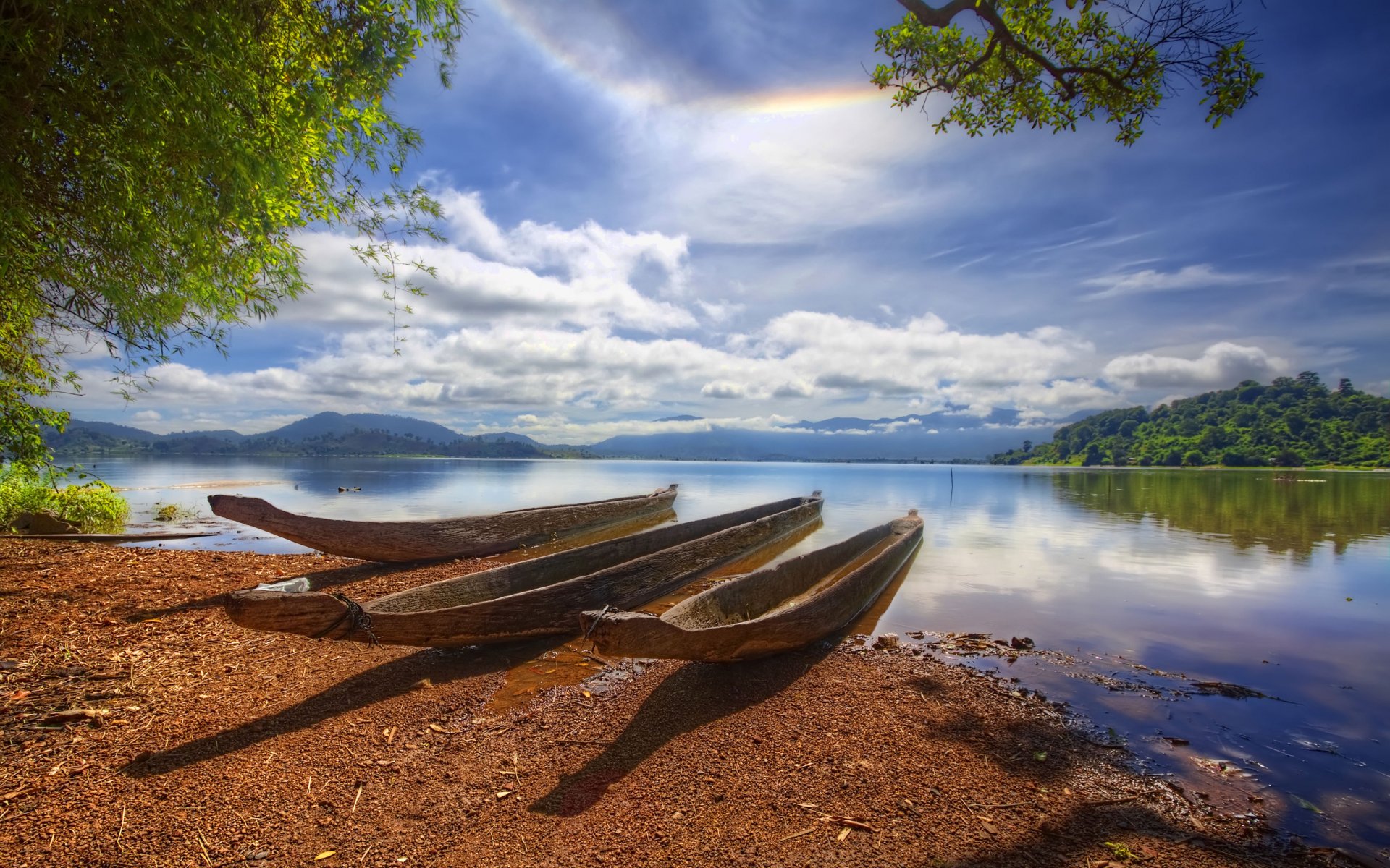 trois bateaux de troncs