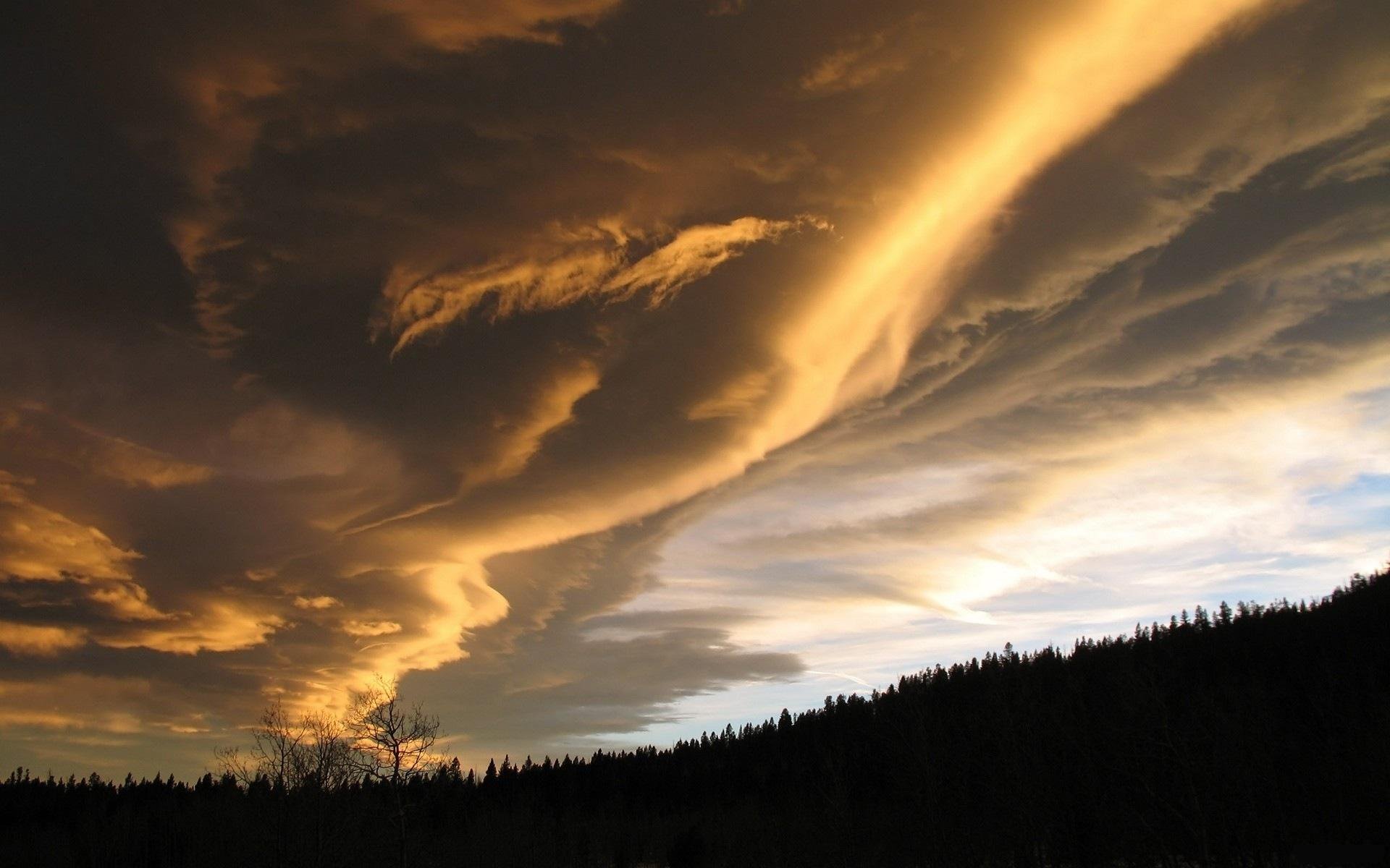 natura foresta tramonto cielo nuvole