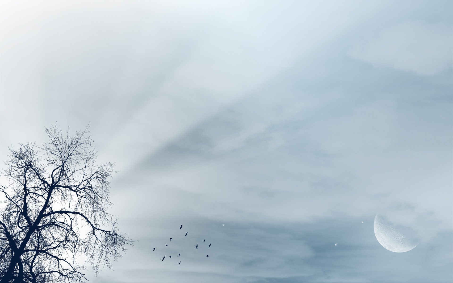 paesaggio albero uccelli luna luce raggi cielo