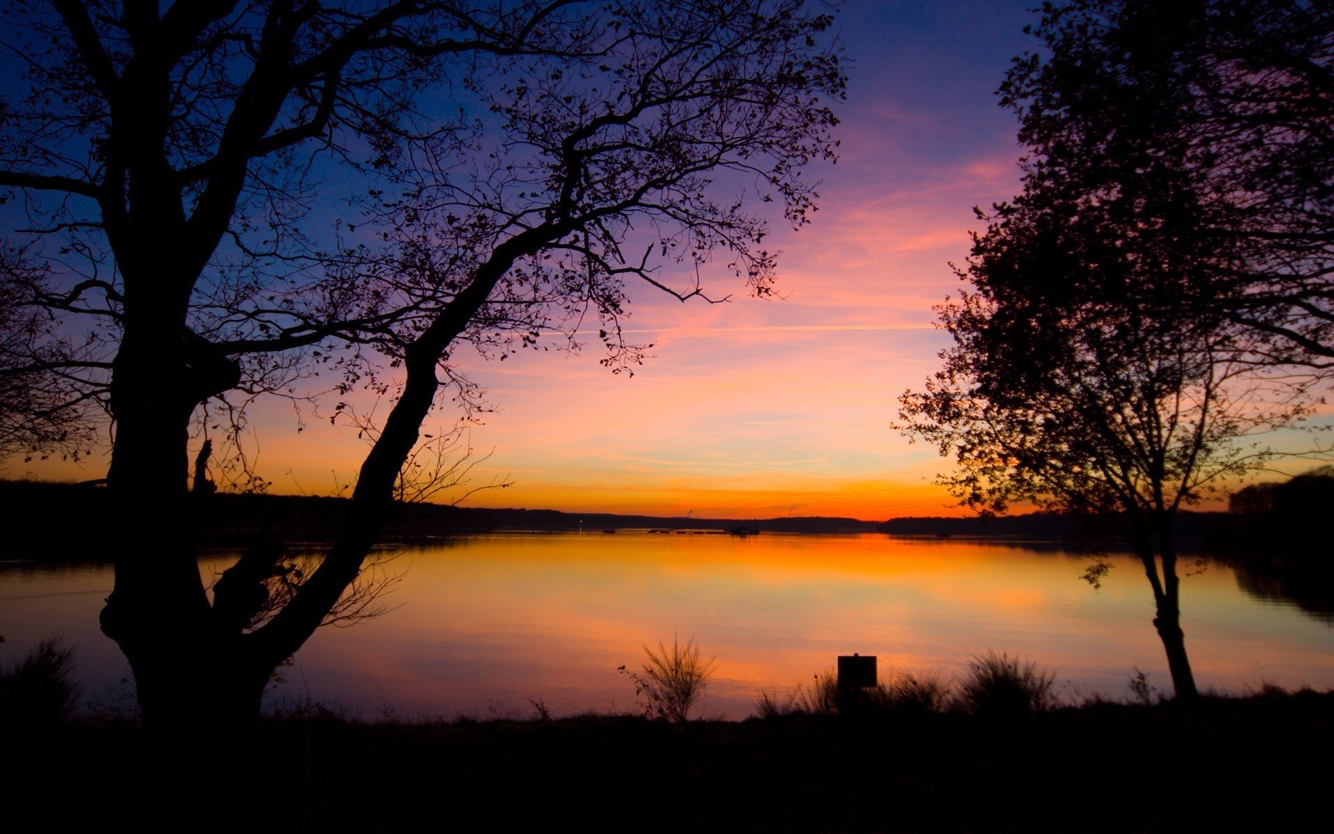 unset lake tree