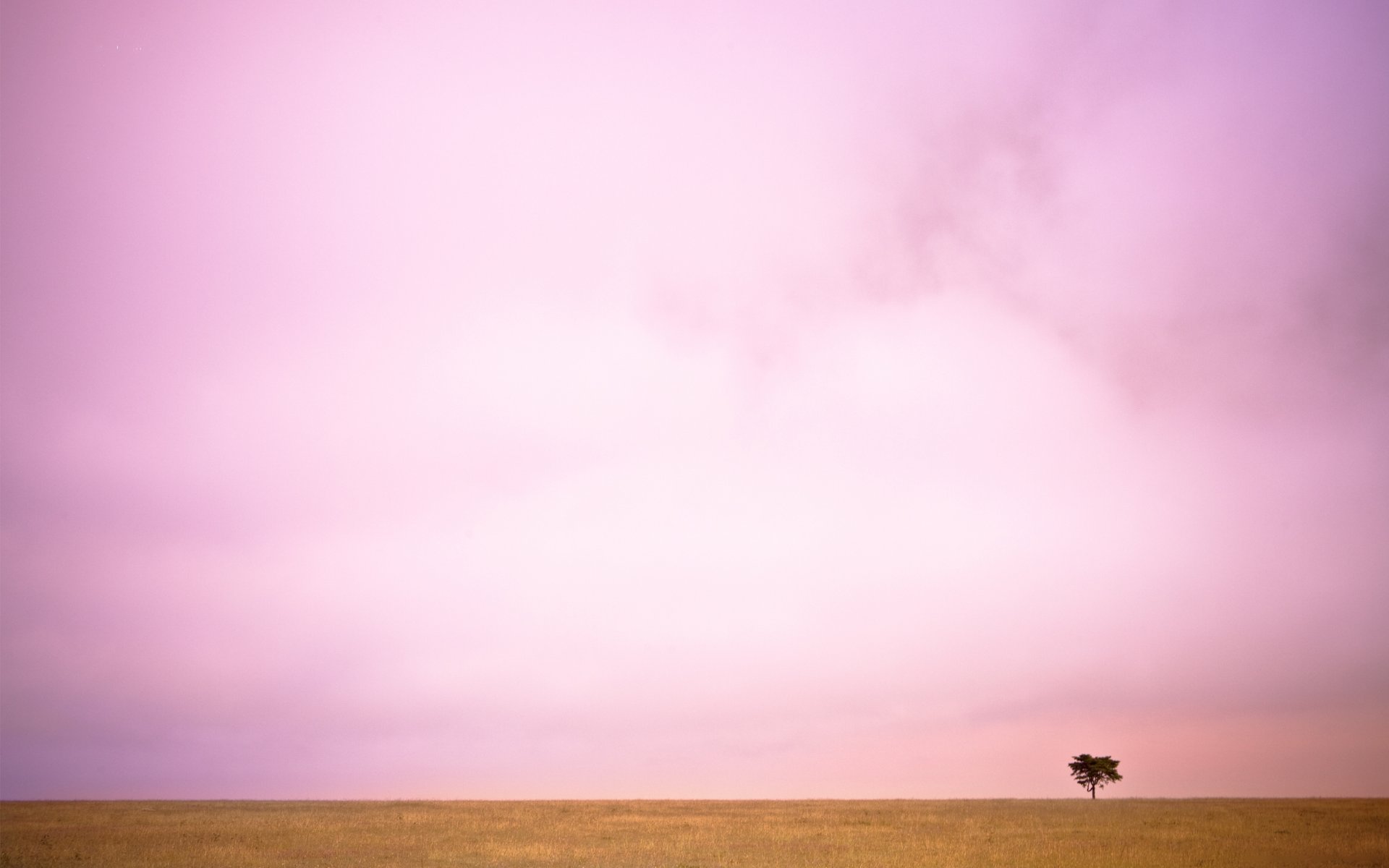 landschaft baum tal feld