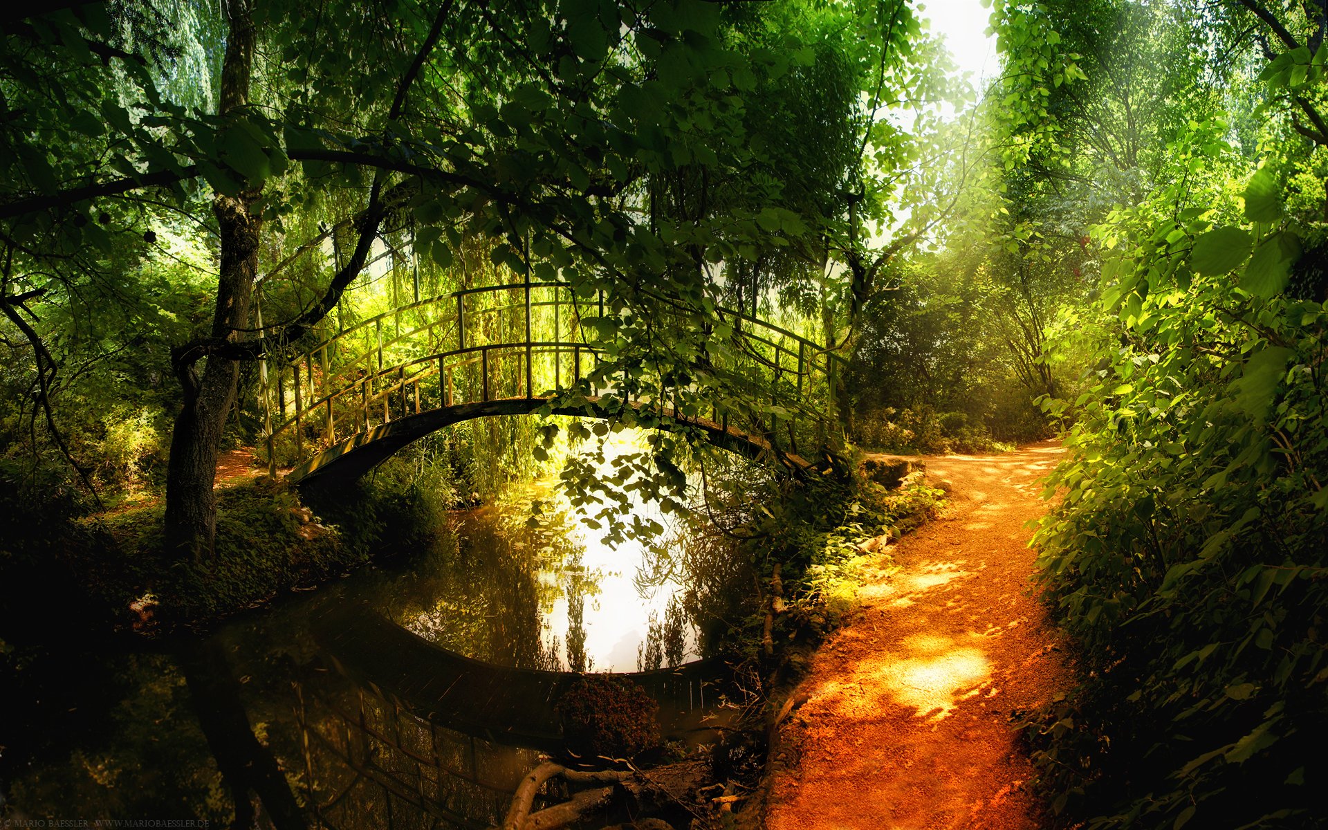 wald.brücke fluss reflexion