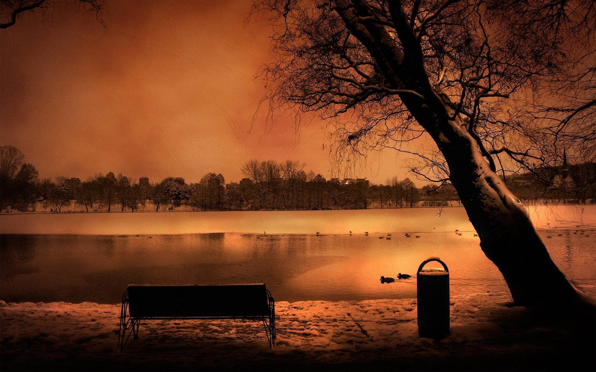 landscape romance night tree rivers water romantic bench shop sky