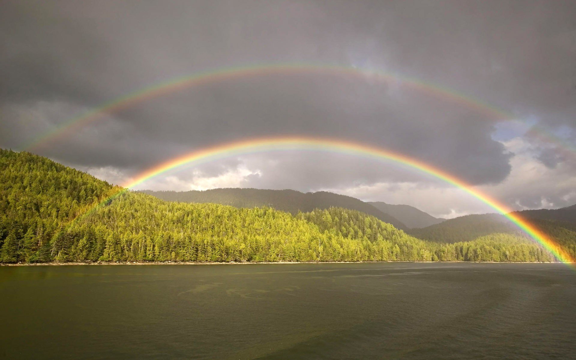 stagno foresta arcobaleno nuvole