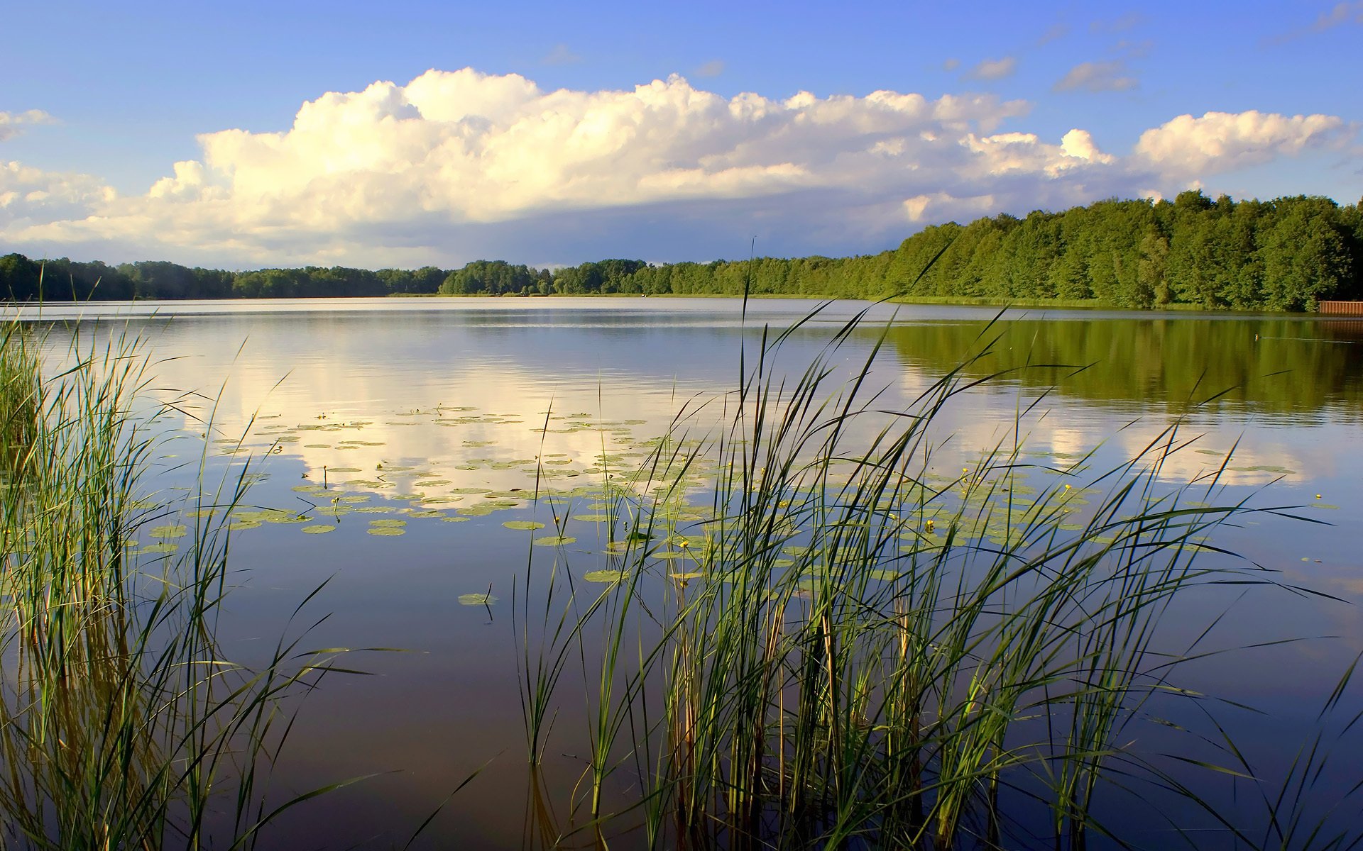 krajobraz rzeka natura niebo las