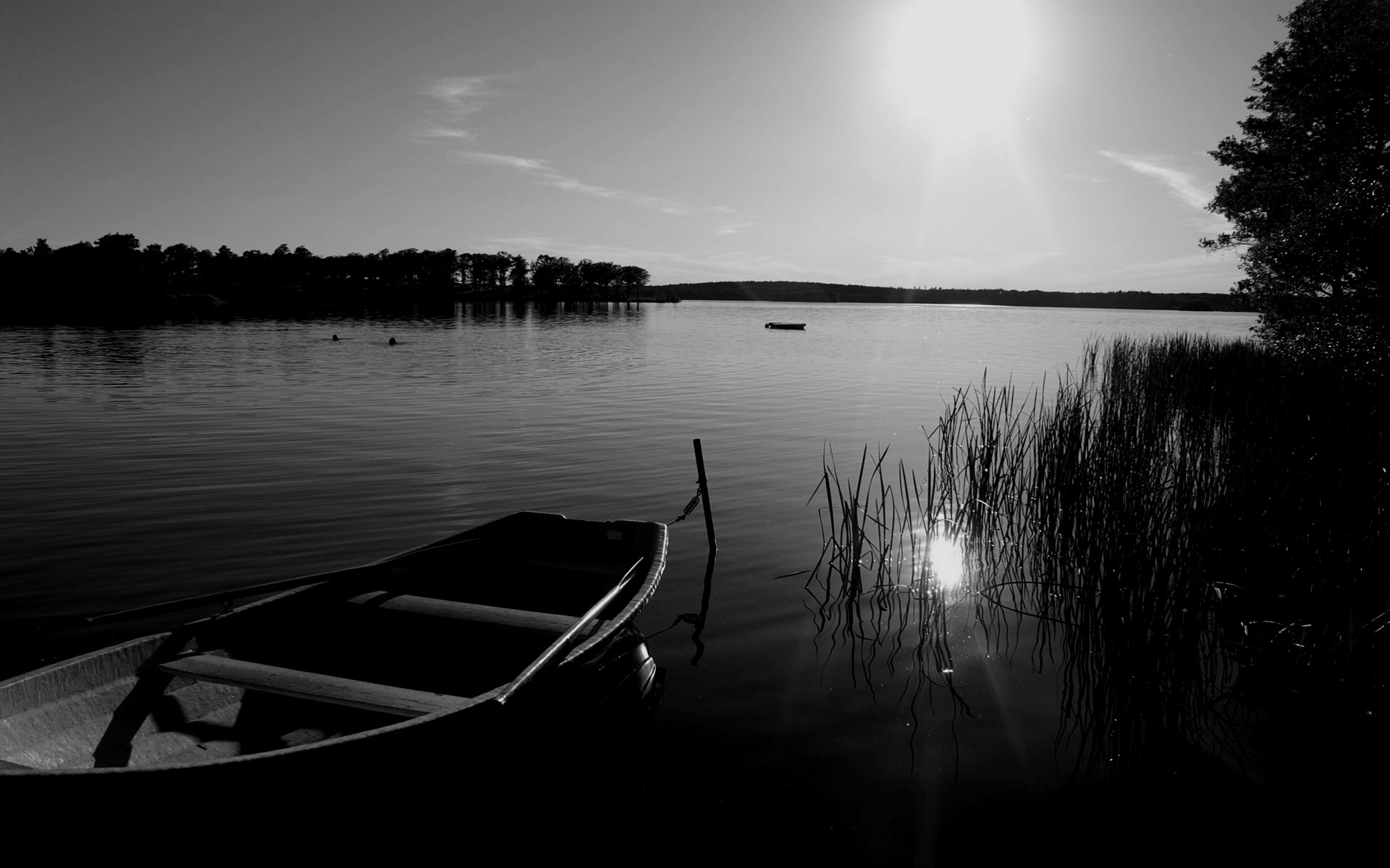 blanco negro barco lago