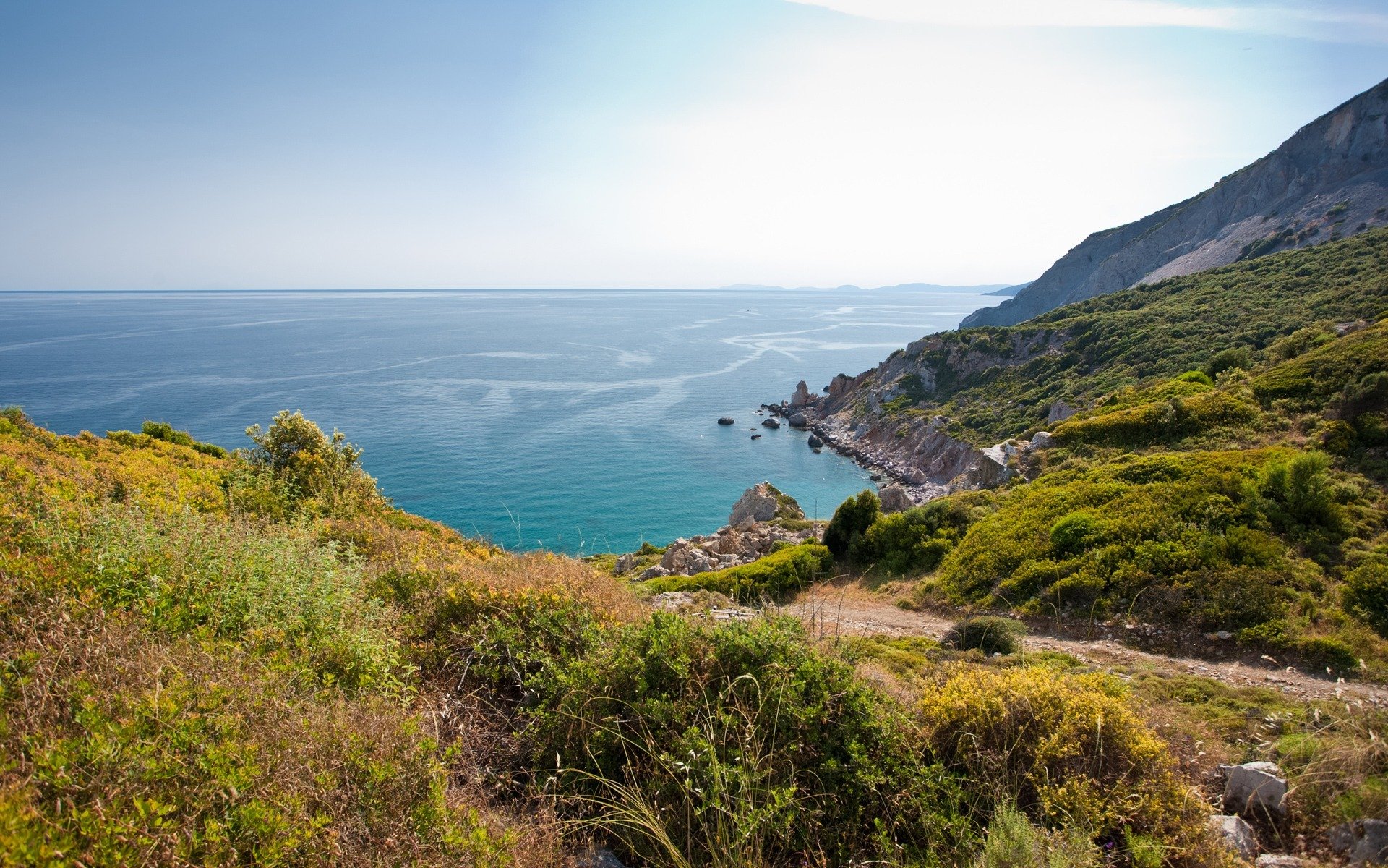 landscape nature sea view ocean water rock beach plants sky