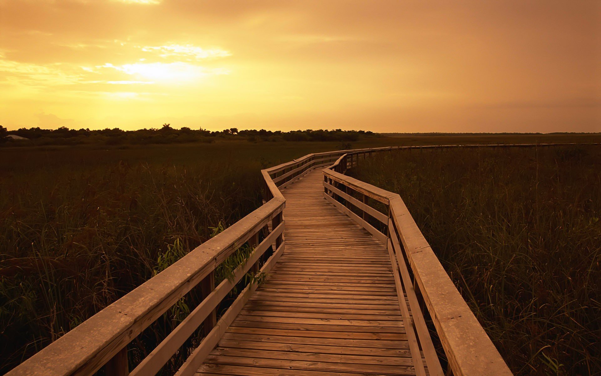 a step sky nature landscape