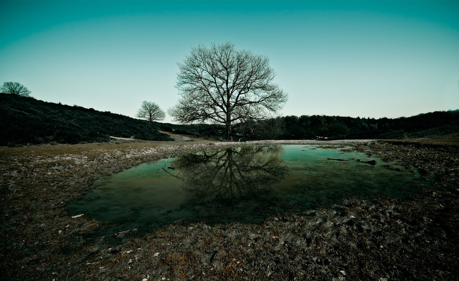 sera albero paesaggio natura acqua cielo widescreen natura wallpspers alberi