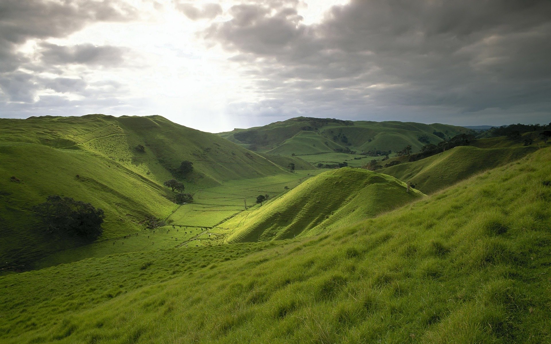 hills the field grass meadow green sky