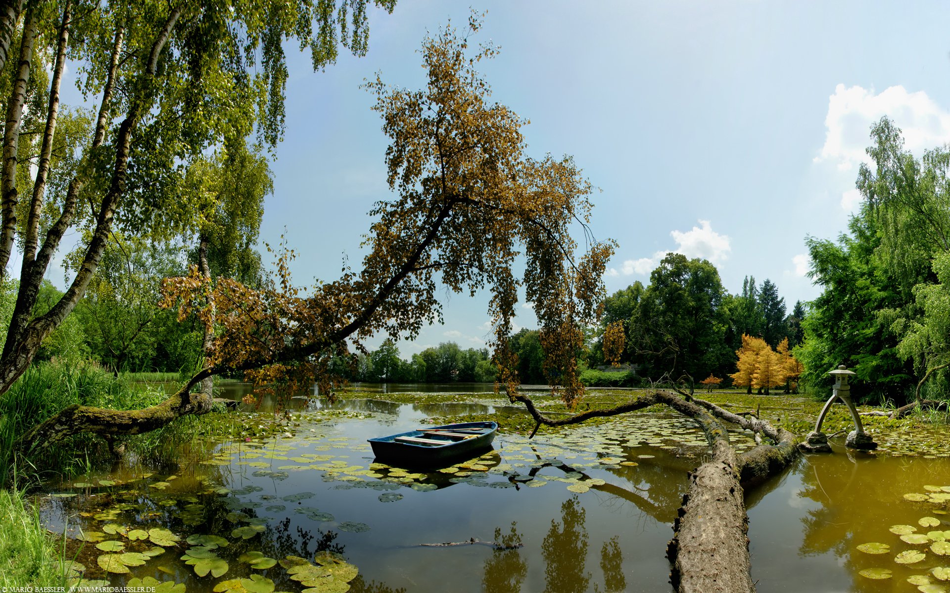 barca lago alberi