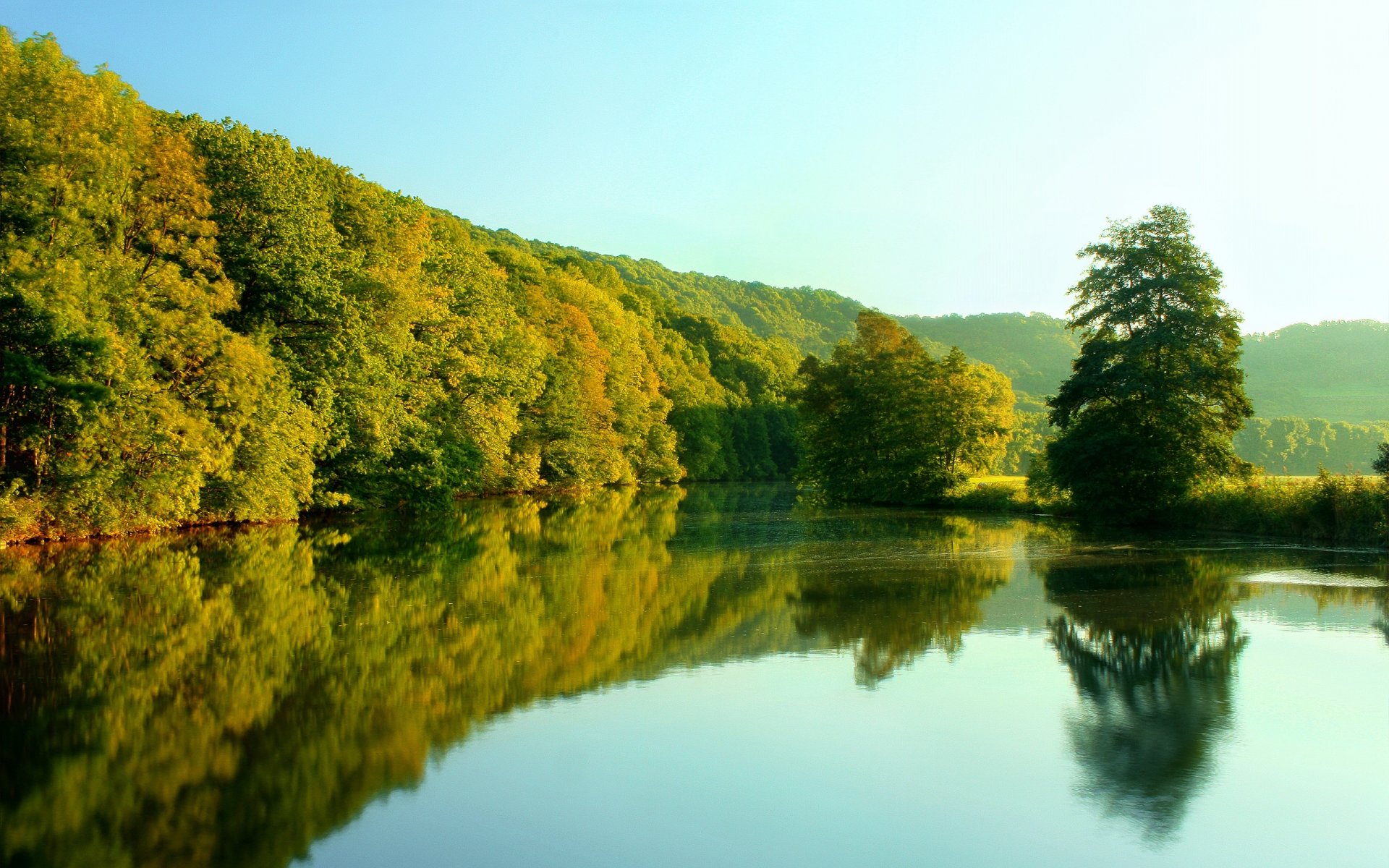 river tree sky reflection