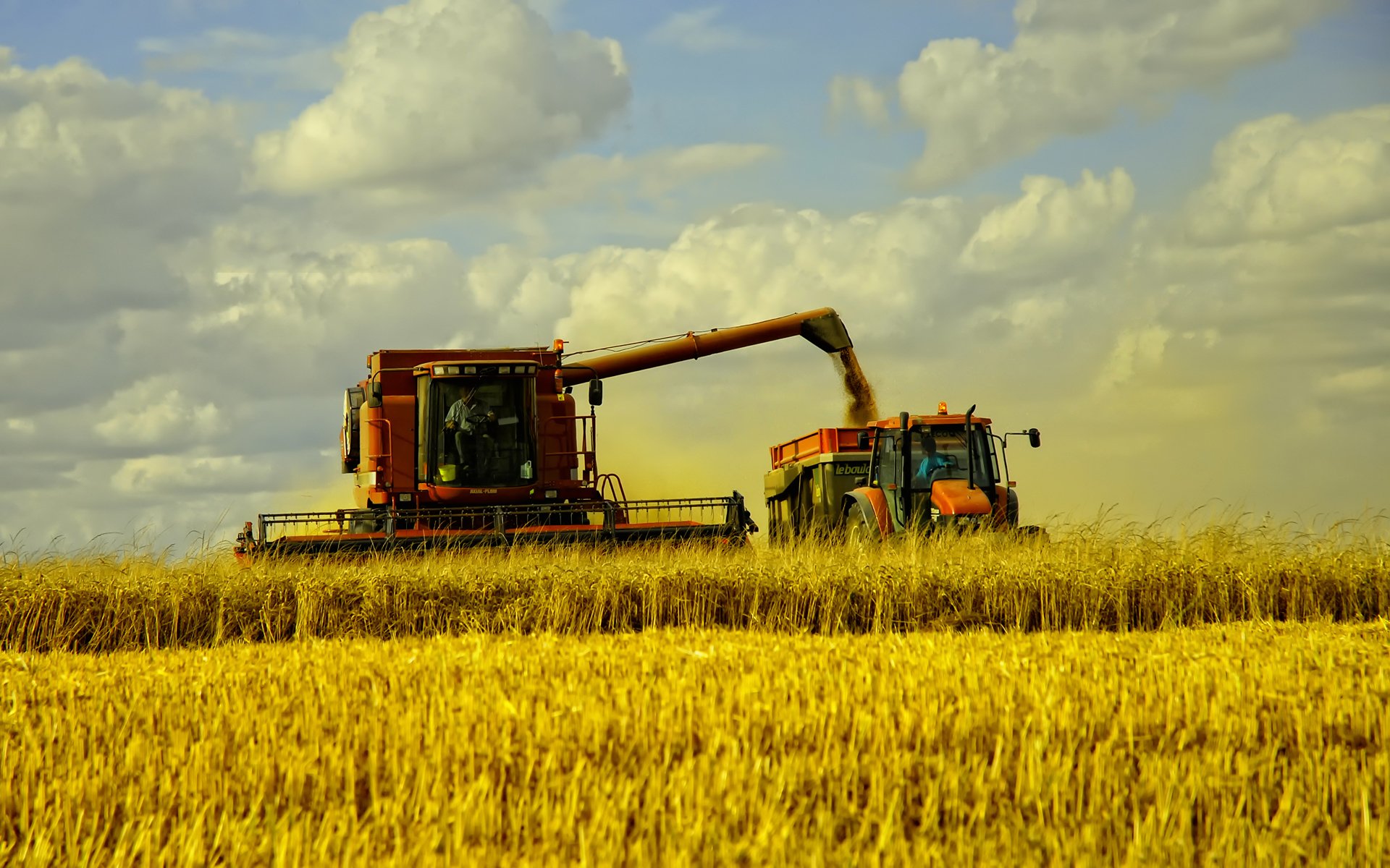 fieno campo grano campi erba autunno raccolta macchine paesaggio