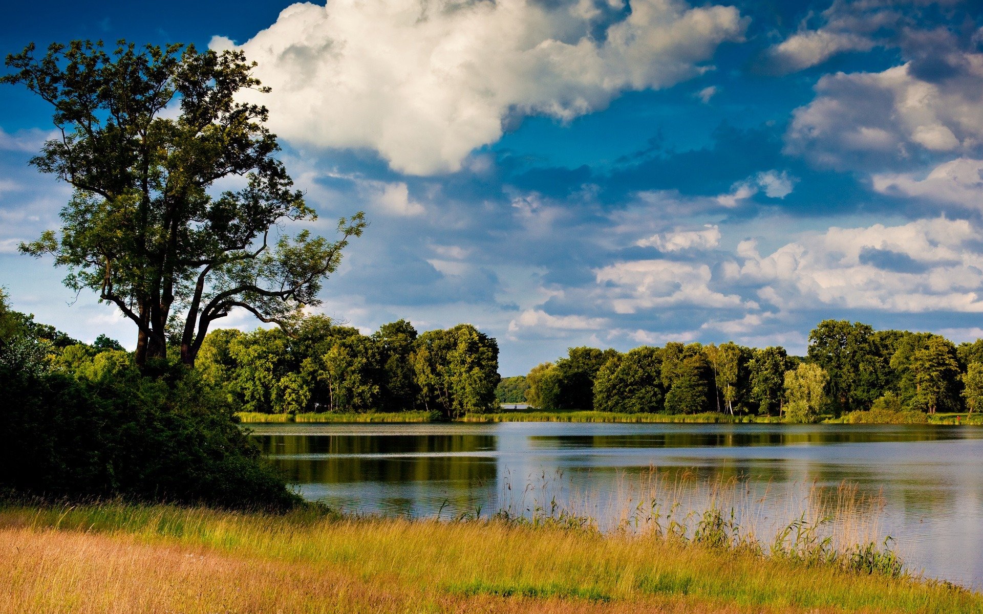 river water nature landscape tree grass sky